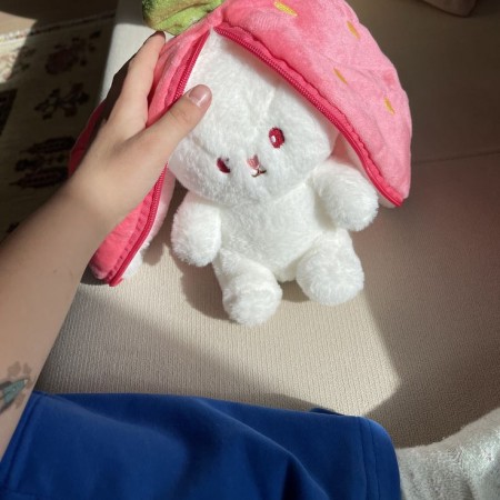 ​Secret Rabbit Strawberry & Carrot Plush Toy